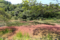 福山植物園